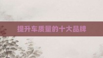 提升车质量的十大品牌