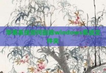 苹果系统如何删除windows系统文件夹