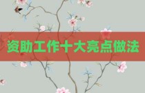 资助工作十大亮点做法