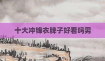 十大冲锋衣牌子好看吗男