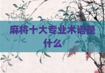 麻将十大专业术语是什么