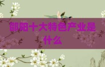 邵阳十大特色产业是什么