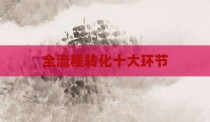 全流程转化十大环节