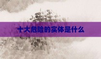 十大危险的实体是什么