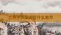 兰州十大凉皮在什么地方