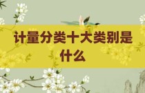 计量分类十大类别是什么