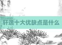 轩逸十大优缺点是什么