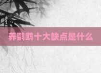 养鹦鹉十大缺点是什么