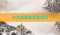 十大名医都在民间吗
