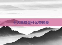 十大黑茶是什么茶种类