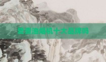 爱妻油烟机十大品牌吗