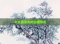 十大最漂亮的白酒排名