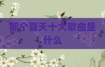 那个夏天十大歌曲是什么