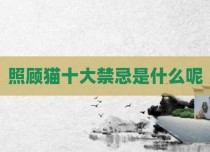 照顾猫十大禁忌是什么呢