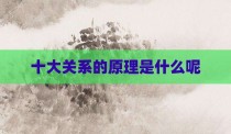 十大关系的原理是什么呢