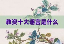 教资十大谣言是什么