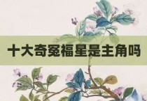 十大奇冤福星是主角吗