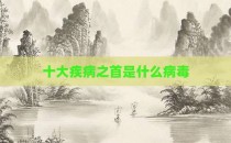 十大疾病之首是什么病毒
