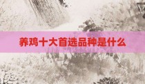 养鸡十大首选品种是什么