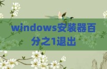 windows安装器百分之1退出