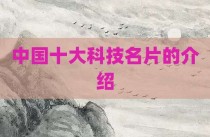 中国十大科技名片的介绍