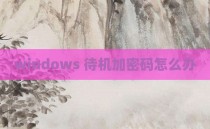 windows 待机加密码怎么办