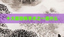 十大最恐怖手术之一是什么