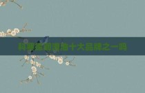 科赛德润滑油十大品牌之一吗