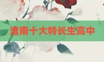 淮南十大特长生高中
