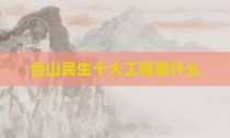 台山民生十大工程是什么