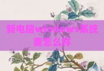 新电脑windows系统要怎么样
