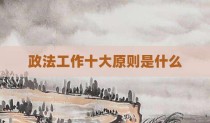 政法工作十大原则是什么