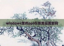 windows里的ppt在哪里设置密码