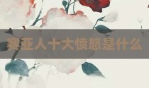 赛亚人十大愤怒是什么