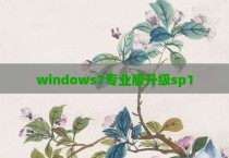 windows7专业版升级sp1