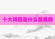 十大项目是什么意思啊