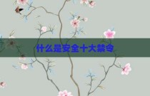 什么是安全十大禁令