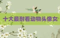 十大最耐看动物头像女