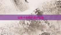 山东十大特产是什么烟