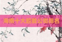 海南十大超载公司排名