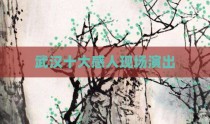 武汉十大感人现场演出