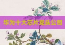 华为十大芯片龙头公司