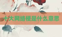 十大网络梗是什么意思