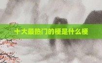十大最热门的梗是什么梗