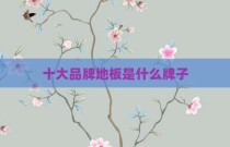 十大品牌地板是什么牌子