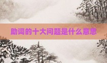 助词的十大问题是什么意思