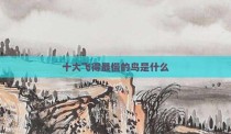 十大飞得最慢的鸟是什么