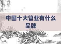 中国十大管业有什么品牌
