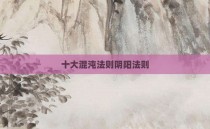 十大混沌法则阴阳法则