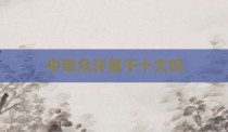 中审众环属于十大吗